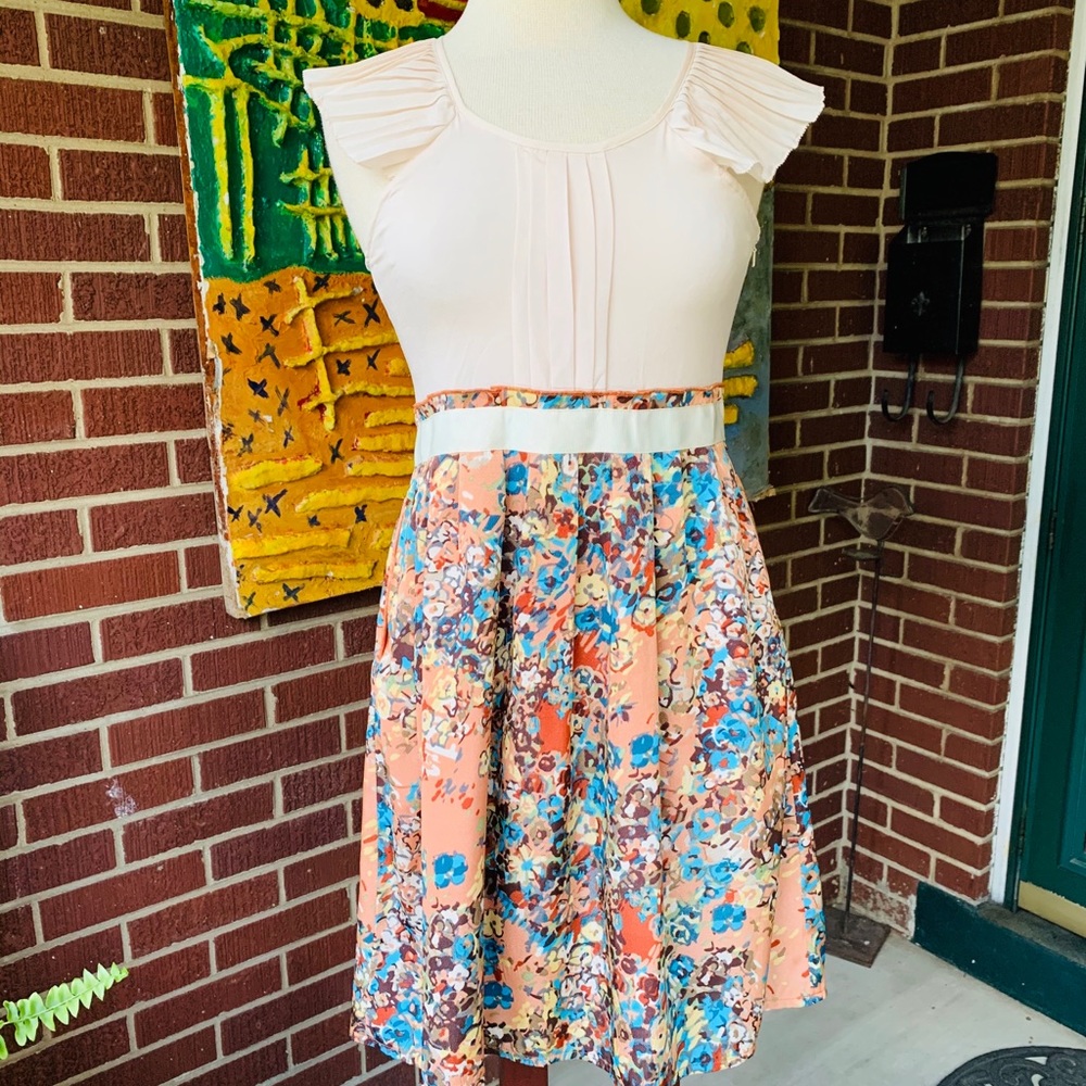 Francesca’s Collections Pleated Dress